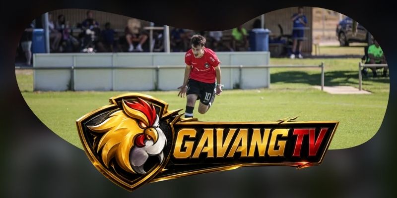 Nhận định kèo AD Cariari Pococi vs Pitbulls 02h00 04/09