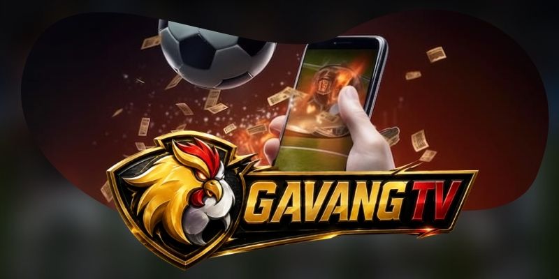 Lịch và trạng thái trận hỗ trợ chọn đúng thời điểm xem