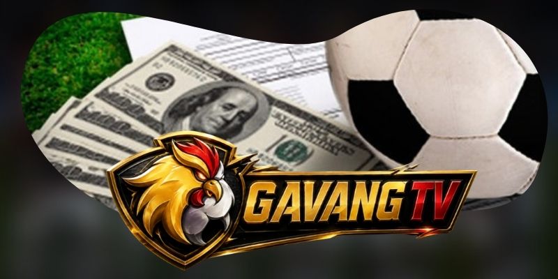 Tuyển dụng GavangTV tập trung nội dung và công nghệ