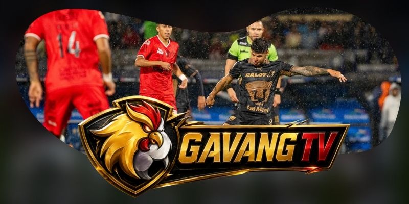 Pumas ép nhịp trung lộ, Leon chịu lịch cúp sát ngày