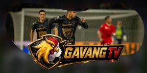Soi Kèo Pumas U.N.A.M. Vs Club Leon 10h00 11/09